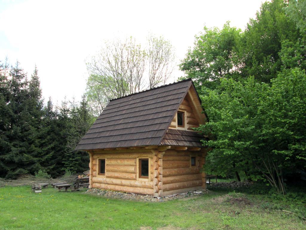 Noclegi Pod Malym Krolem Устшики-Дольне Экстерьер фото